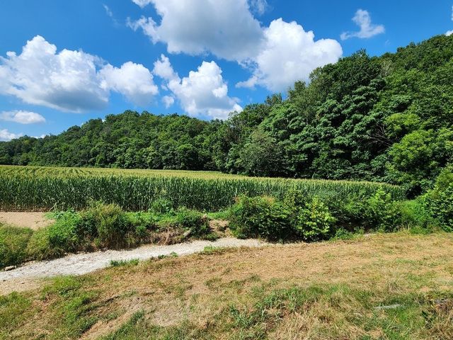 0 Taurus Farm Rd, Lafayette, TN 37083