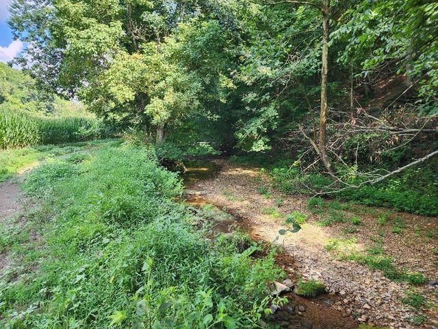 0 Taurus Farm Rd, Lafayette, TN 37083