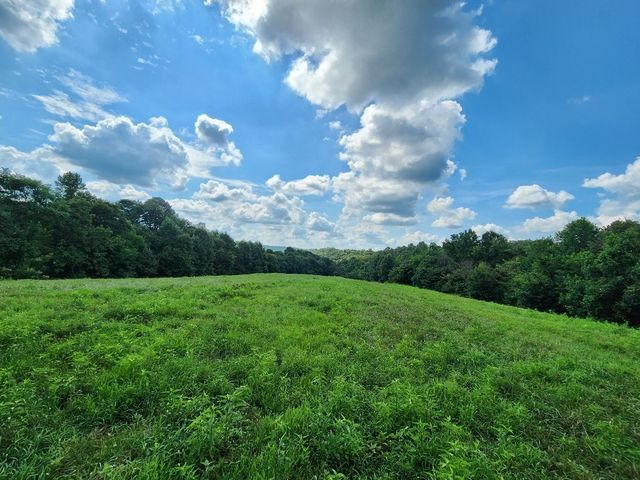 0 Taurus Farm Rd, Lafayette, TN 37083