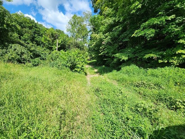 0 Taurus Farm Rd, Lafayette, TN 37083