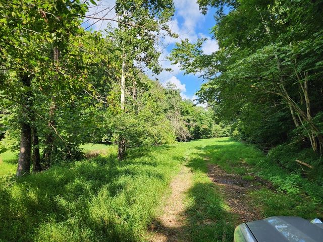 0 Taurus Farm Rd, Lafayette, TN 37083