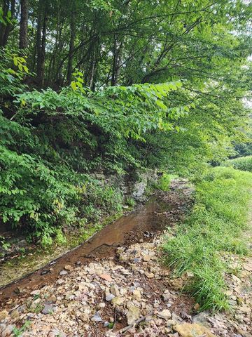 0 Taurus Farm Rd, Lafayette, TN 37083