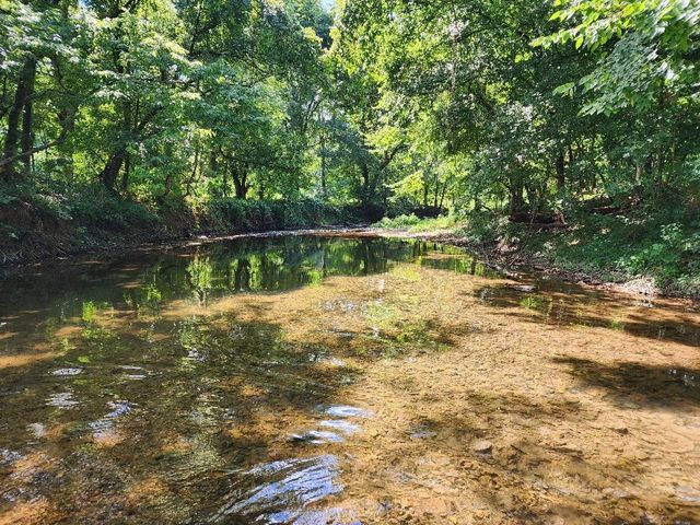 0 Taurus Farm Rd, Lafayette, TN 37083