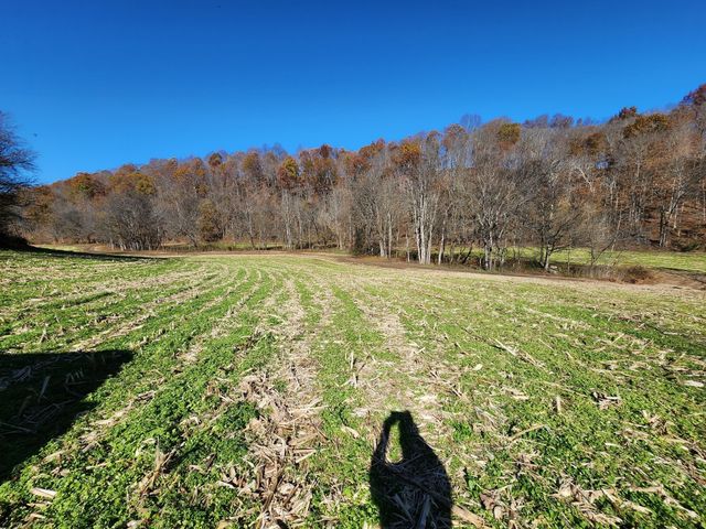 0 Taurus Farm Rd, Lafayette, TN 37083