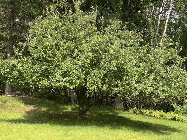 N12425 Freele ROAD, Wausaukee, WI 54177