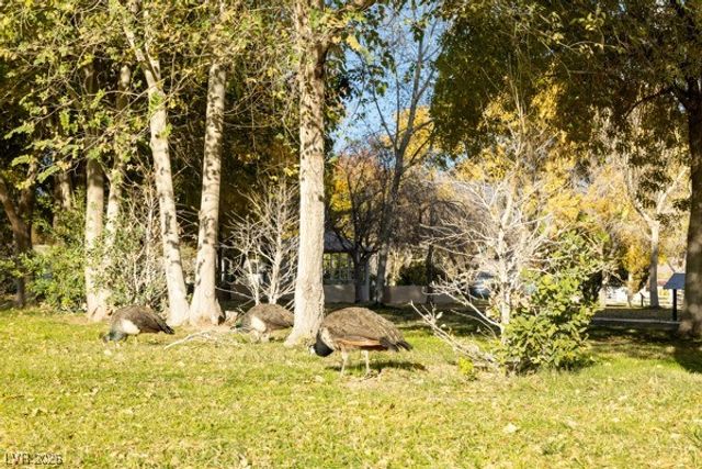 8917 Loggers Mill Avenue, Las Vegas, NV 89143