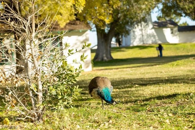 8917 Loggers Mill Avenue, Las Vegas, NV 89143