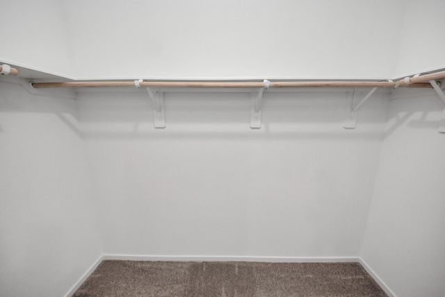 1134 Blue Stone Drive, Beasley, TX 77417