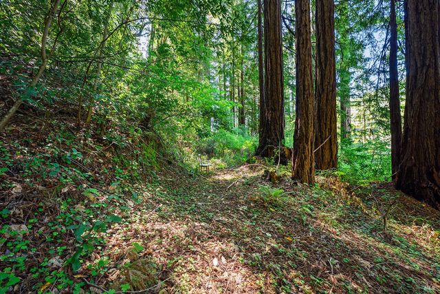 20719 Foothill Dr, Monte Rio, CA 95462