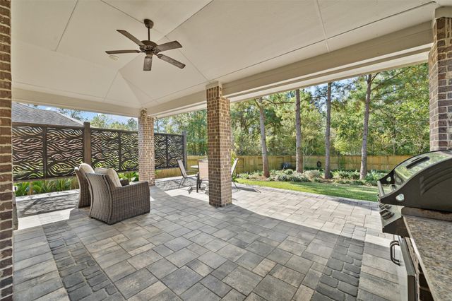 109 Crinium Lily Court, Montgomery, TX 77316