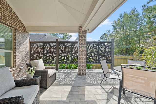 109 Crinium Lily Court, Montgomery, TX 77316