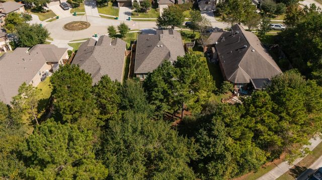 109 Crinium Lily Court, Montgomery, TX 77316