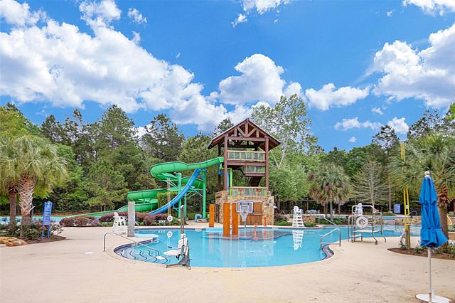 109 Crinium Lily Court, Montgomery, TX 77316