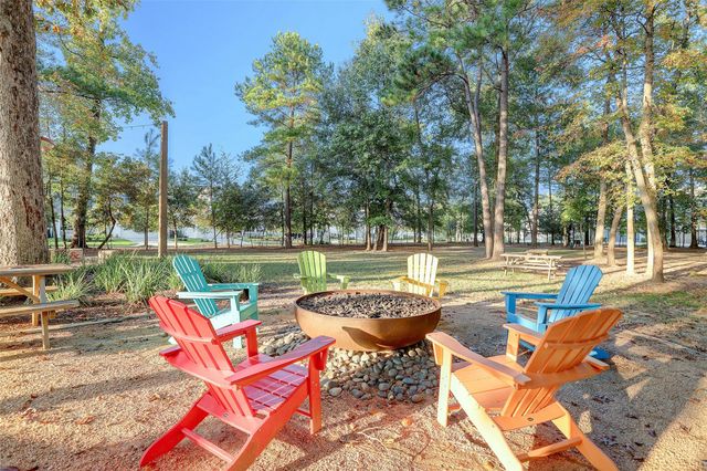 109 Crinium Lily Court, Montgomery, TX 77316