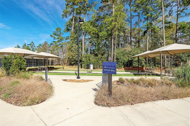 109 Crinium Lily Court, Montgomery, TX 77316