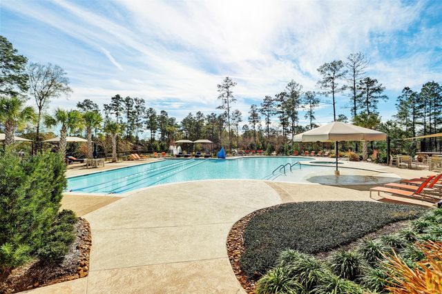 109 Crinium Lily Court, Montgomery, TX 77316