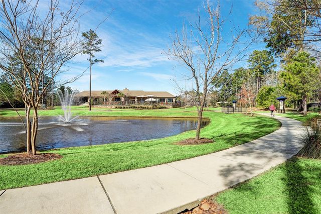 109 Crinium Lily Court, Montgomery, TX 77316