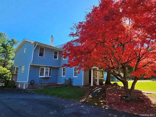 107 Eldred Yulan Road, Eldred, NY 12732