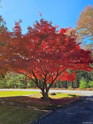 107 Eldred Yulan Road, Eldred, NY 12732