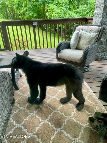 1155 Upper Alpine Way UNIT 107, Gatlinburg, TN 37738