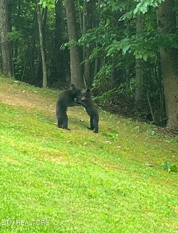 1155 Upper Alpine Way UNIT 107, Gatlinburg, TN 37738