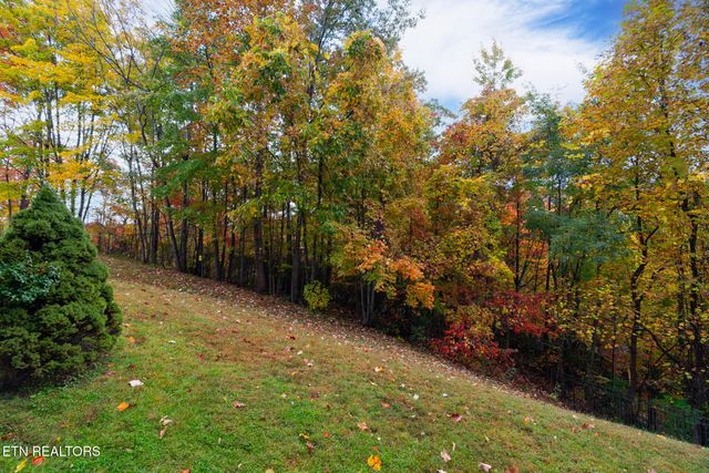 1155 Upper Alpine Way UNIT 107, Gatlinburg, TN 37738