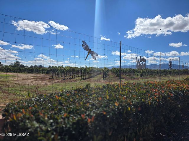 924 E Saguaro Drive, Pearce, AZ 85625