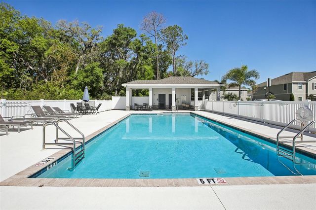 10916 QUICKWATER COURT, Riverview, FL 33569
