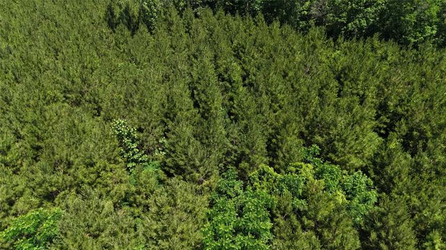 TBD Upper Leggett Road, Leggett, TX 77350