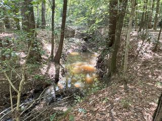 TBD Upper Leggett Road, Leggett, TX 77350