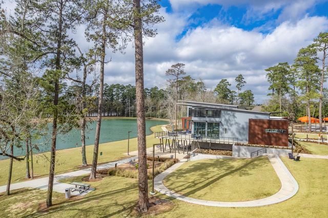 527 Chestnut Reef Court, Conroe, TX 77304