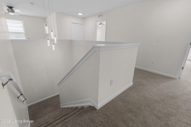 11891 Trottingham Cir, Louisville, KY 40299