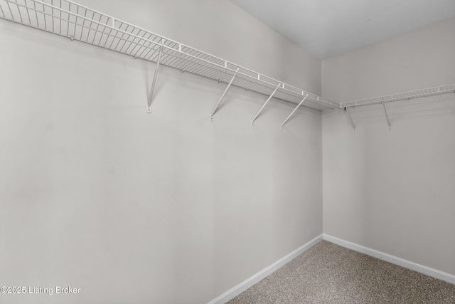11891 Trottingham Cir, Louisville, KY 40299