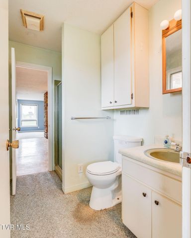 219 Bear Track Road, Jonesborough, TN 37659