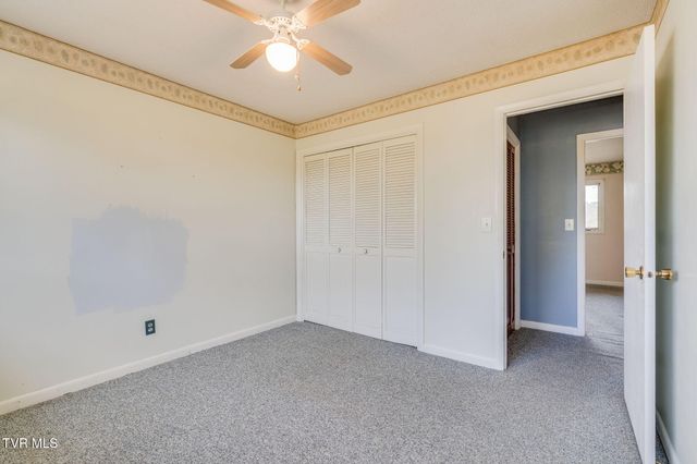 219 Bear Track Road, Jonesborough, TN 37659