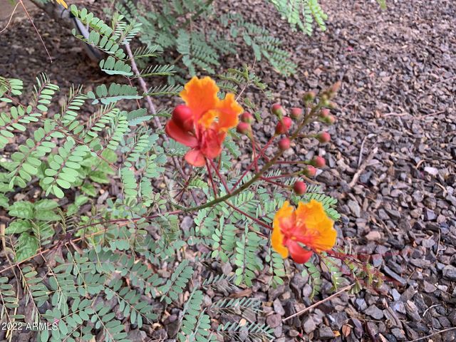 4302 E BANNOCK Street, Phoenix, AZ 85044