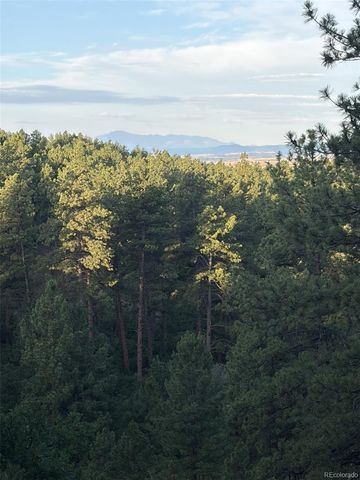 10996 Deerfield Road, Franktown, CO 80116