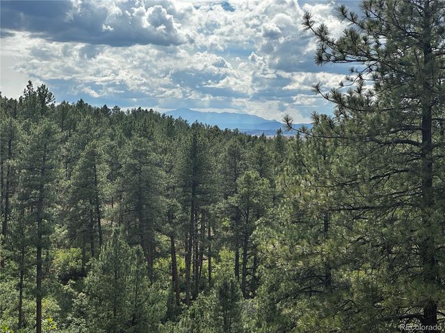 10996 Deerfield Road, Franktown, CO 80116