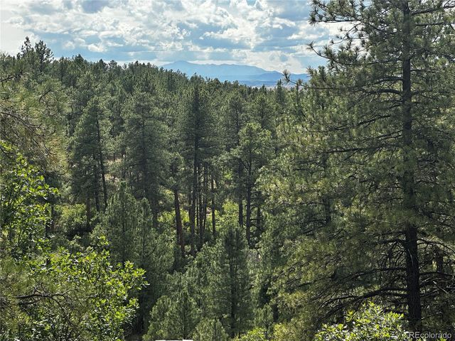 10996 Deerfield Road, Franktown, CO 80116