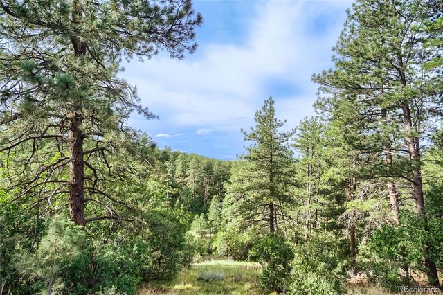 10996 Deerfield Road, Franktown, CO 80116