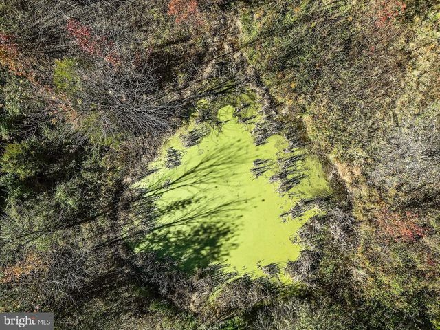 751 - 761 OLD CHARLES TOWN RD, Stephenson, VA 22656