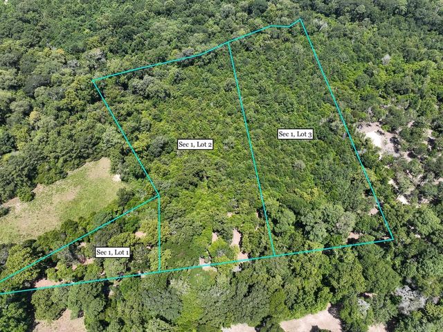 S1L2 Lake Pool Rd, Shepherd, TX 77371