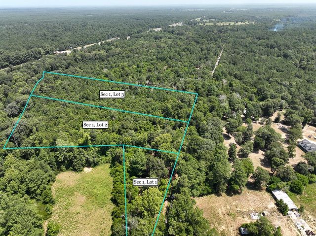 S1L2 Lake Pool Rd, Shepherd, TX 77371