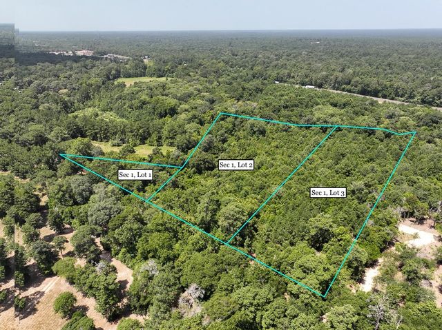 S1L2 Lake Pool Rd, Shepherd, TX 77371