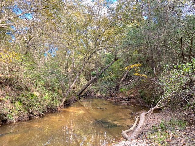 S1L2 Lake Pool Rd, Shepherd, TX 77371