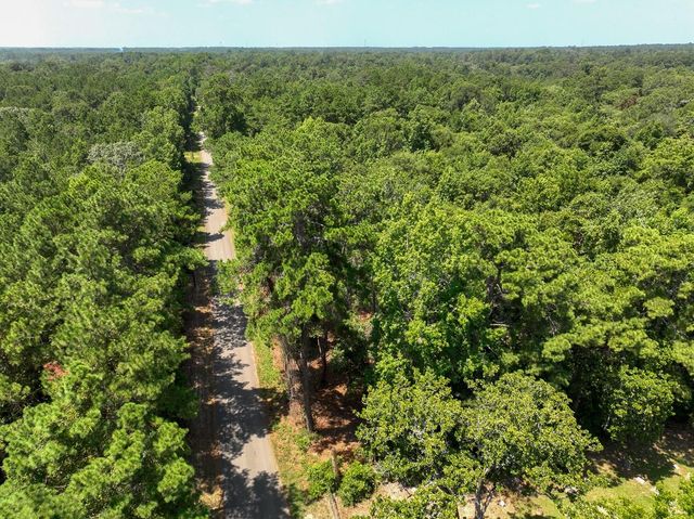 S1L2 Lake Pool Rd, Shepherd, TX 77371