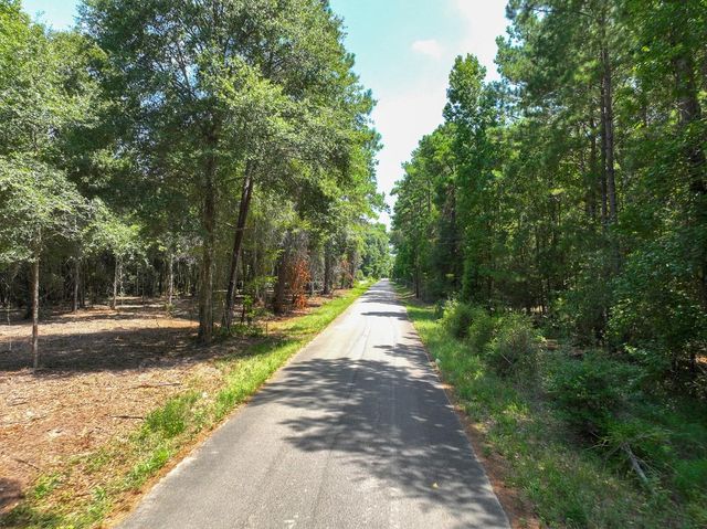 S1L2 Lake Pool Rd, Shepherd, TX 77371