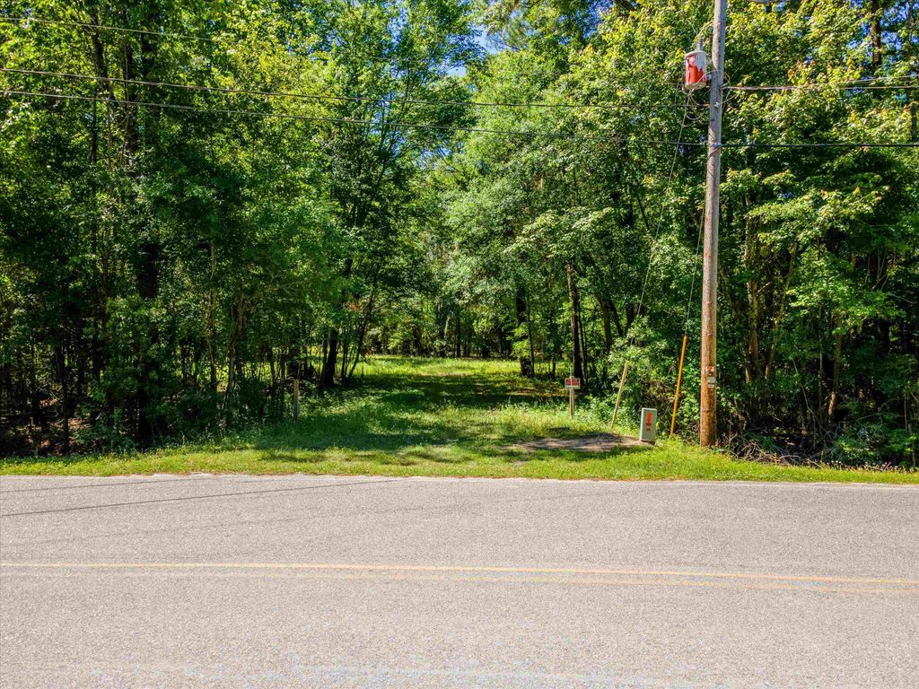 TBD Pitch Landing Rd., Conway, SC 29527 — photo 2