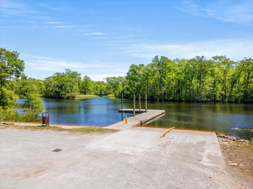 TBD Pitch Landing Rd., Conway, SC 29527 — photo 3