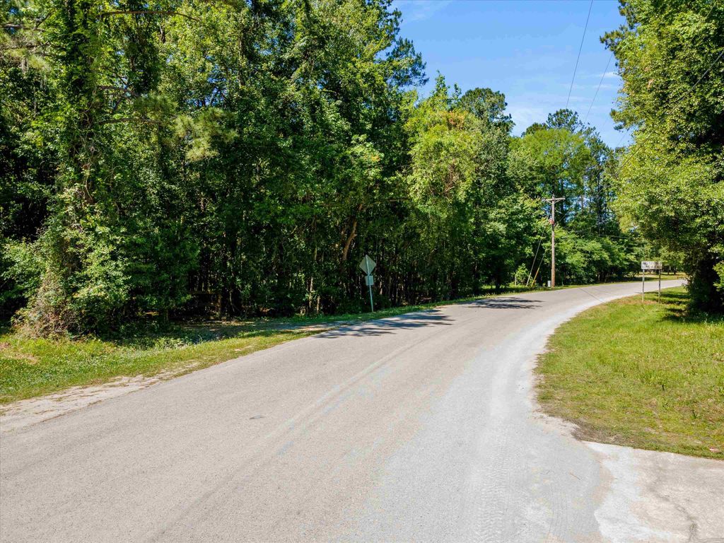 TBD Pitch Landing Rd., Conway, SC 29527 — photo 4